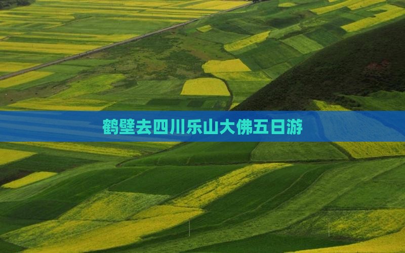 鹤壁去四川乐山大佛五日游