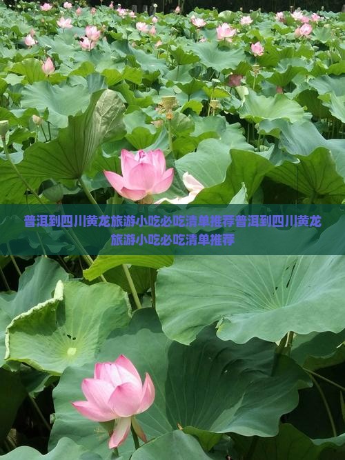 普洱到四川黄龙旅游小吃