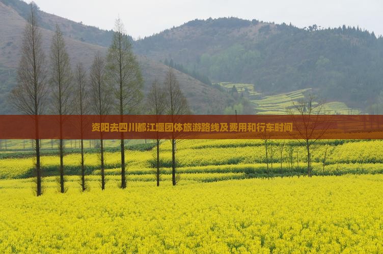 资阳去四川都江堰团体旅游