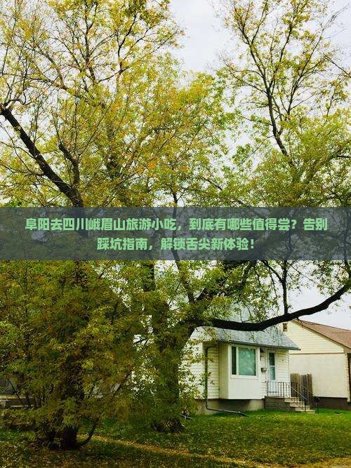 阜阳去四川峨眉山旅游小吃