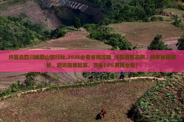 许昌去四川峨眉山旅行社