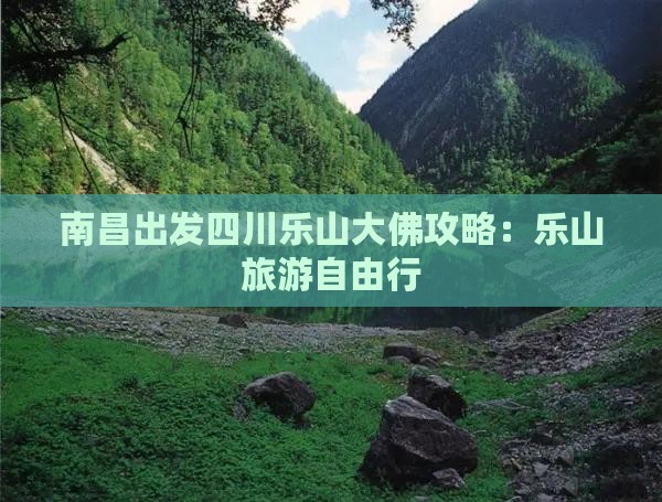 南昌去四川乐山大佛自由行