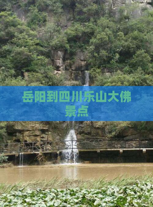 岳阳到四川乐山大佛景点