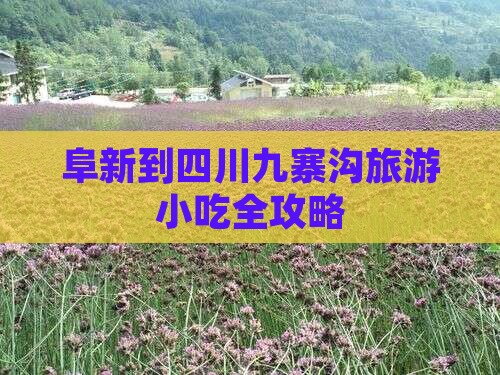 阜新到四川九寨沟旅游小吃