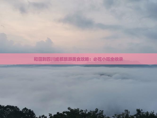 和田到四川成都旅游小吃