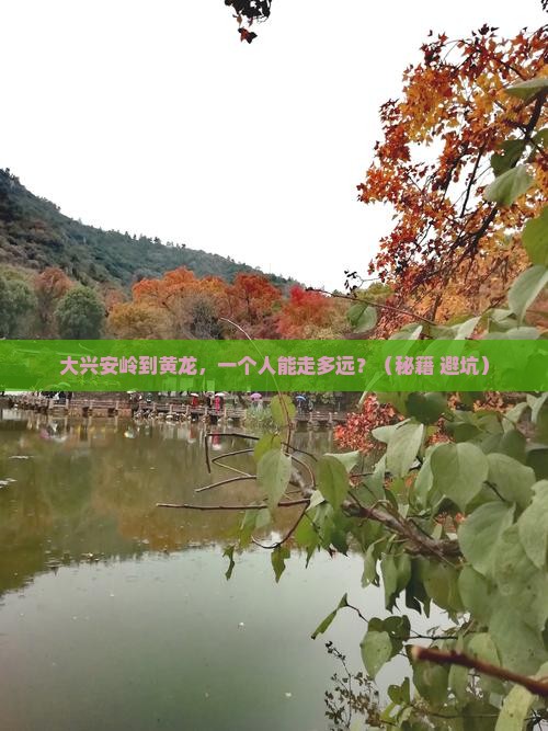 大兴安岭去四川黄龙个人游