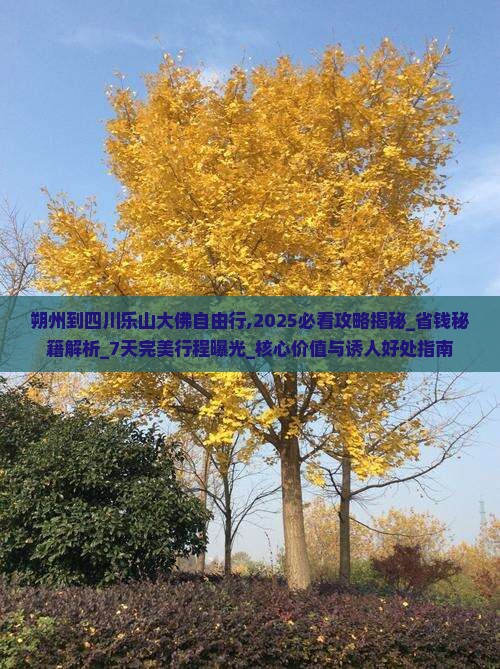 朔州到四川乐山大佛自由行