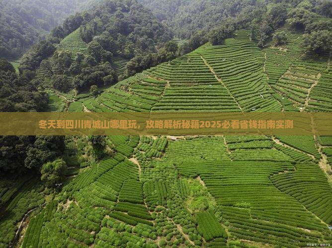 冬天到四川青城山哪里玩