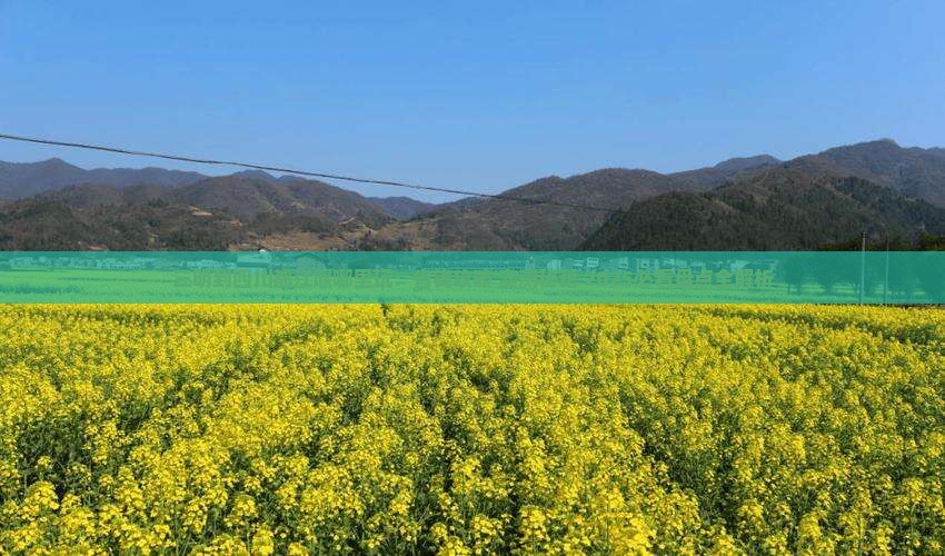 三明到四川都江堰哪里玩