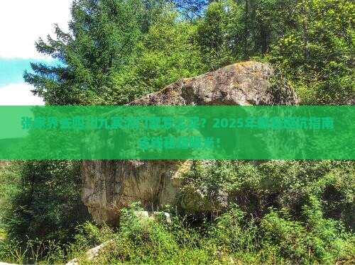 张家界去四川九寨沟门票