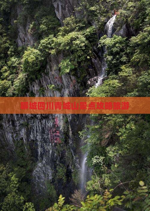 聊城到四川青城山团体旅游