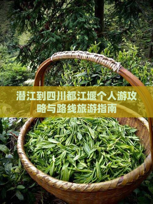 潜江去四川都江堰个人游