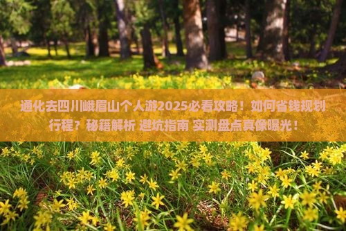 通化去四川峨眉山个人游