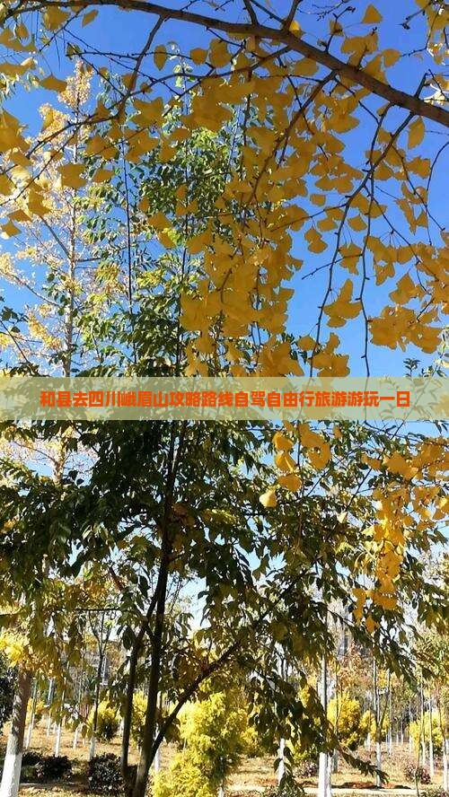 和县去四川峨眉山攻略