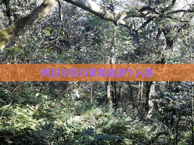 阿拉尔去四川黄龙个人游 阿拉尔去四川黄龙个人游