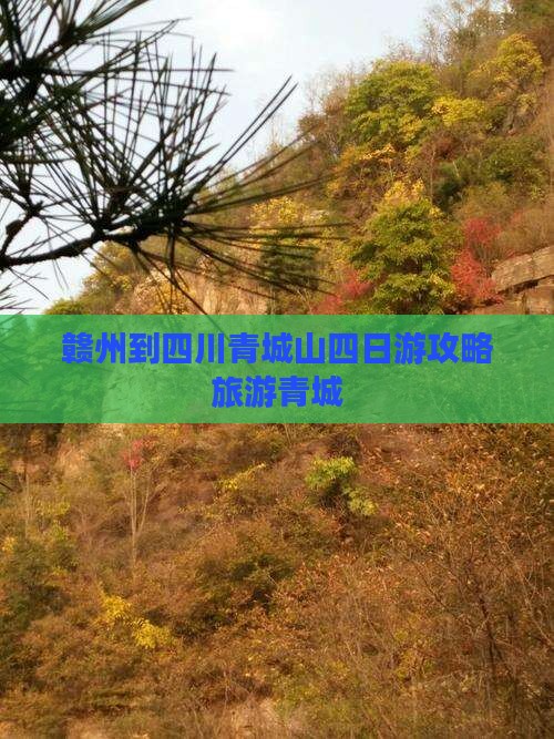 赣州到四川青城山四日游