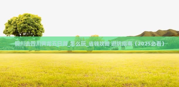 铜川去四川黄龙五日游