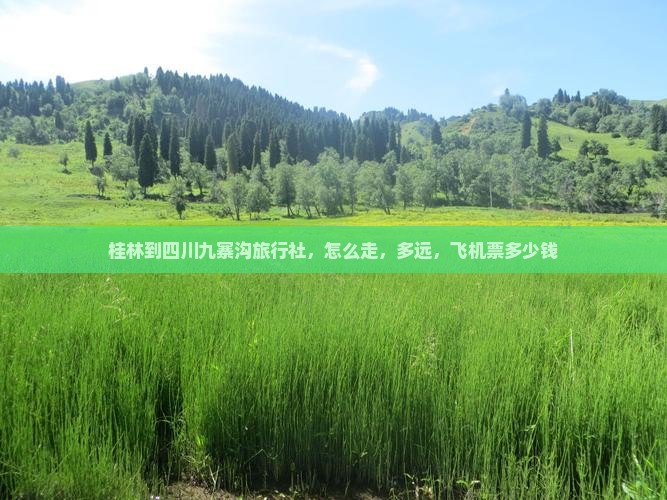 桂林到四川九寨沟旅行社