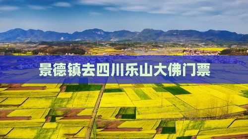 景德镇去四川乐山大佛门票