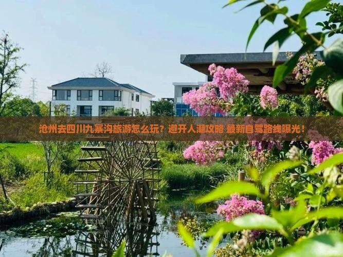 沧州去四川九寨沟旅游