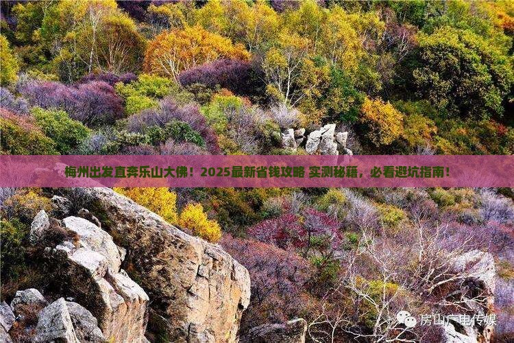 梅州到四川乐山大佛旅行社