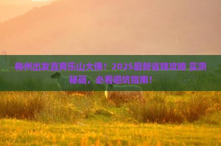 梅州到四川乐山大佛旅行社