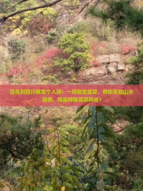 百色到四川黄龙个人游