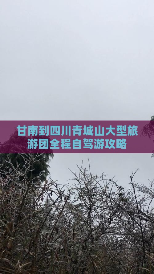 甘南到四川青城山大型旅游团