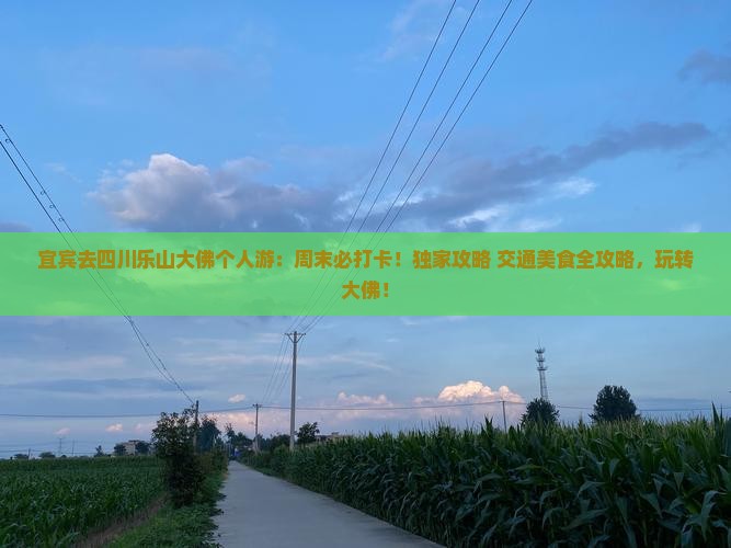 宜宾去四川乐山大佛个人游