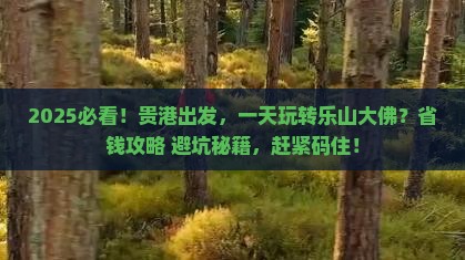 贵港到四川乐山大佛一日
