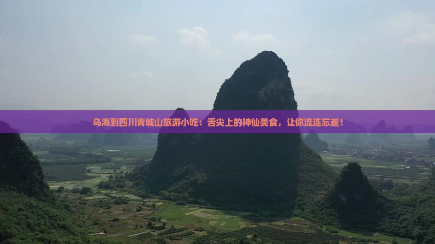 乌海到四川青城山旅游小吃