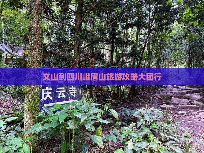 文山到四川峨眉山大型旅游团