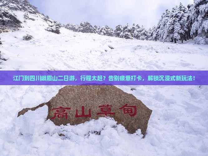 江门到四川峨眉山二日游