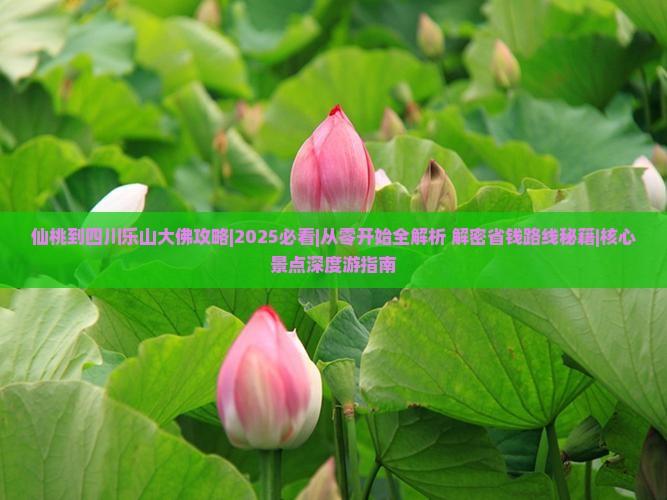 仙桃到四川乐山大佛攻略