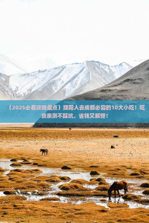濮阳去四川成都旅游小吃