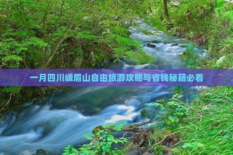 一月到四川峨眉山自由团
