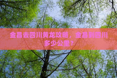 金昌去四川黄龙攻略