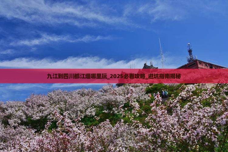 九江到四川都江堰哪里玩