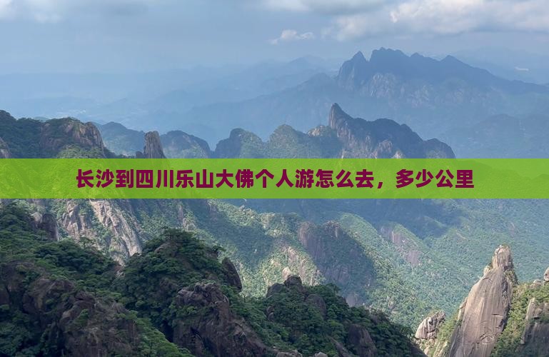 长沙到四川乐山大佛个人游