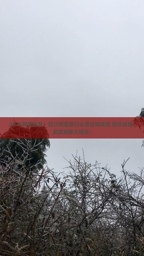 柳州去四川黄龙攻略
