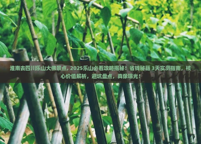 淮南去四川乐山大佛景点