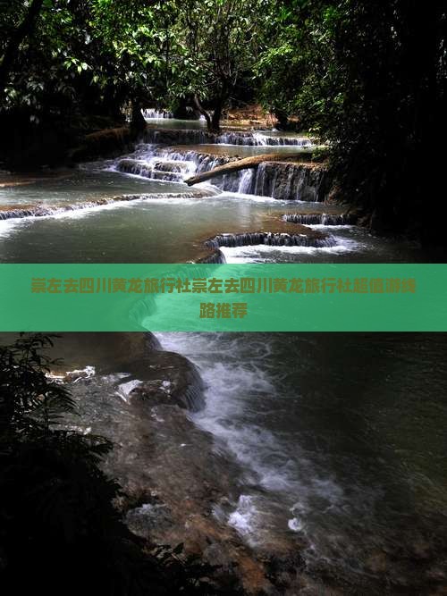 崇左去四川黄龙旅行社