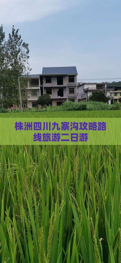 株洲去四川九寨沟二日游 株洲去四川九寨沟二日游