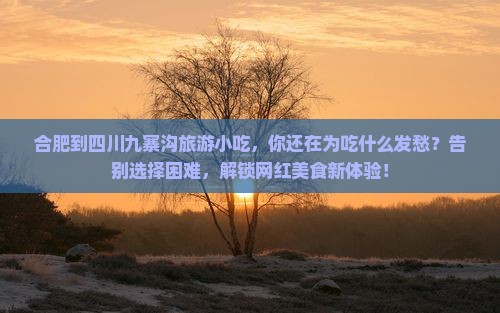 合肥到四川九寨沟旅游小吃