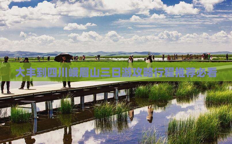 大丰到四川峨眉山三日游