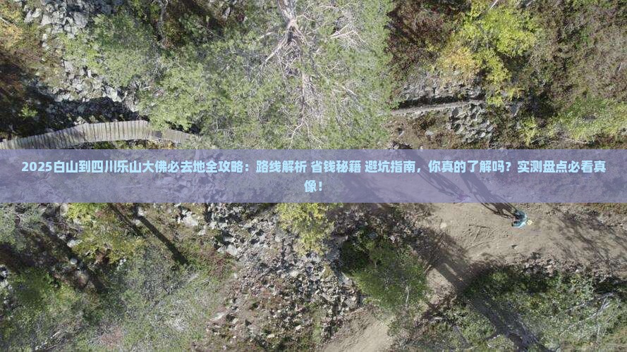 白山到四川乐山大佛必去地