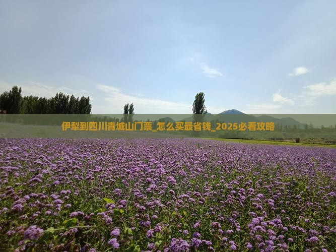 伊犁到四川青城山门票