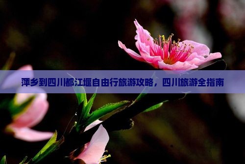萍乡到四川都江堰自由行