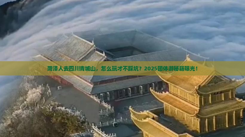 菏泽去四川青城山团体旅游