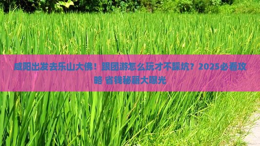 咸阳去四川乐山大佛团体旅游